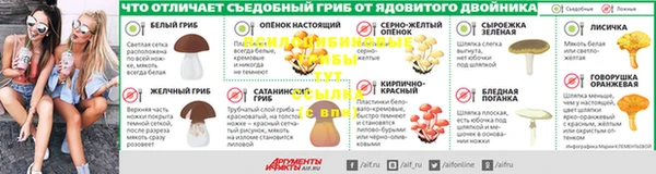 ГАЛЛЮЦИНОГЕННЫЕ ГРИБЫ Богданович